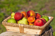 Obstkorb