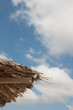 reed umbrella