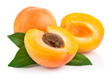 apricot fruits with green apricot fruits with green