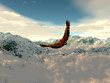 eagle in the cold mountains