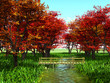 autumn woods
