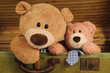Two Teddybears sat in old suitcase