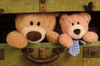 Two Teddybears peeking from old suitcase