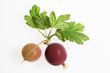 acini,uva,spina,frutti di bosco
