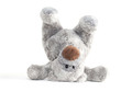 ours en peluche