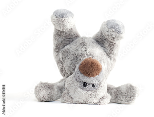 Photo: ours en peluche ours en peluche