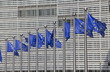 European Union Flags in Brussels