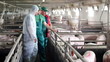 Pig Farm Workers