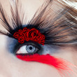 black bird woman eye makeup macro red roses black bird woman eye makeup macro red roses
