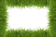 Grass frame