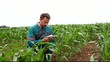 Farmer with electronic tablet analysing corn field