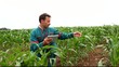 Farmer with electronic tablet analysing corn field