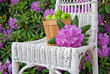 Wicker chair in garden