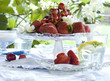 summertime dessert outdoor summertime dessert outdoor