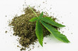 marijuana