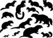 fur animals silhouettes collection