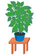 Home plants in pot on brown table Home plants in pot on brown table
