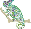 Anole