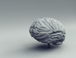 brain - 3d