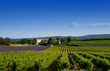 Foto: paysage - campagne paysage - campagne