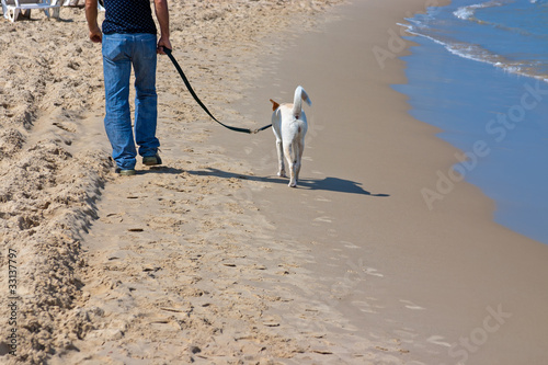 Photo: beach beach