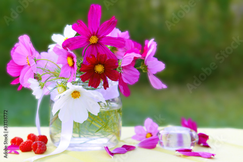 Photo: Blumenstrauss,Kosmea Blumenstrauss,Kosmea