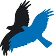Fliegende Adler Fliegende Adler
