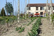 fattoria italiana