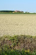 campagna italiana