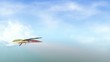 Video: flying butterfly with growing grass and flowers flying butterfly with growing grass and flowers