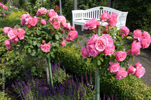 Photo: Leonardo_6083 Leonardo_6083