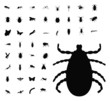 insect silhouette collection