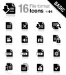 Basic -  File format icons