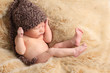 Newborn baby boy