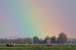 ����: Rainbow sky over dutch farmland � ronvanelst #33155526