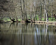 reflets