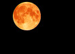 Photo: Ein roter Mond Ein roter Mond