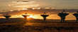 Very Large Array as Sunset (Satellite Dishes from Contact)