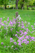 Appalachian Country Farm
