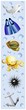 Animali Mare Sfondo Banner-Sea Animal Background-Vector-5
