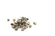 Photo: Capers Capers