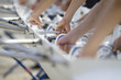 Preparing canoe for the race