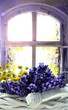 Lavendel