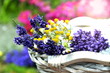 Lavendel