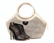 Pair of female shoes and handbag over white