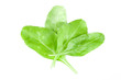 Spinach