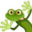 frog