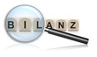Bilanzprüfung