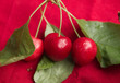 cerises