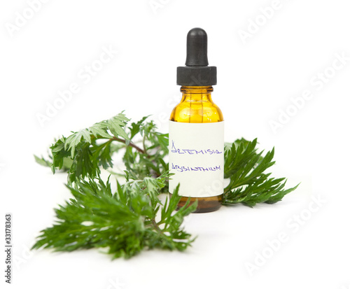 Herbal Tinctures on Wormwood Herbal Tincture Or Oil    Monamakela Com  33178363   See